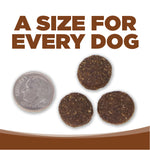 NutriSource Dry Dog Food - Lamb & Rice - Large Breed - 26lb Thumbnail
