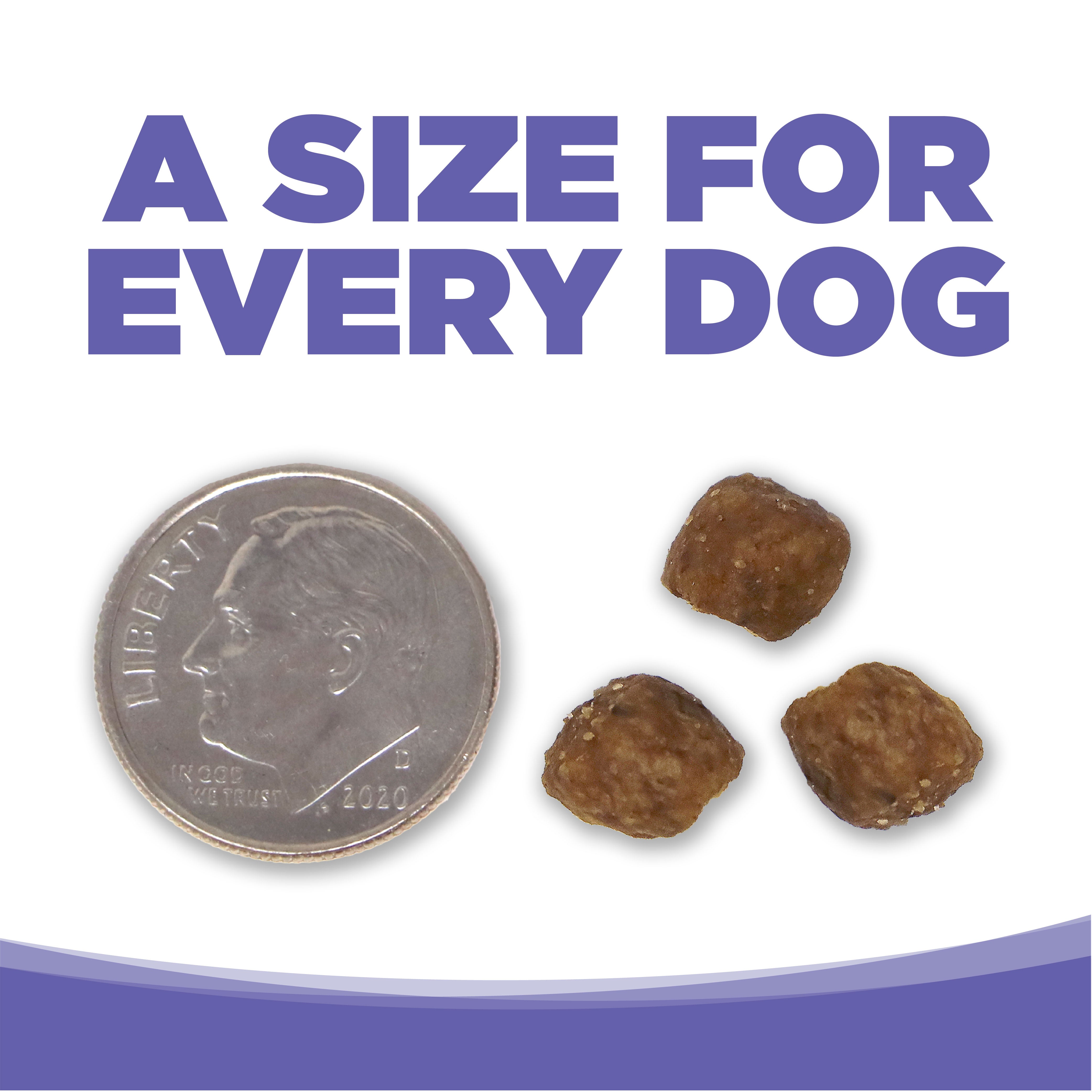 NutriSource Dry Dog Food - Puppy - Small/Medium Dogs