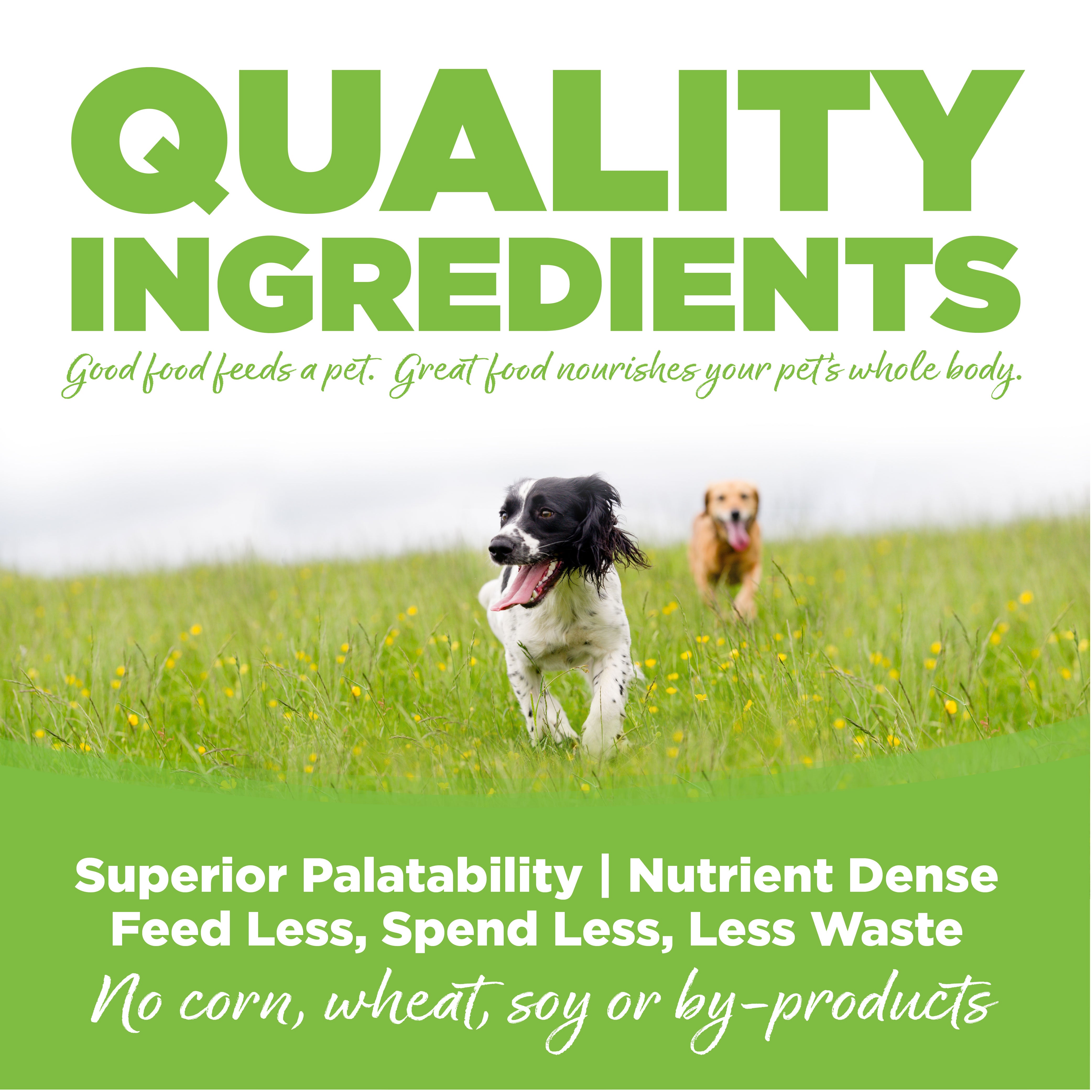 NutriSource Dry Dog Food - Weight Mgt. - 4lb