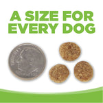 NutriSource Dry Dog Food - Weight Mgt. - 4lb Thumbnail