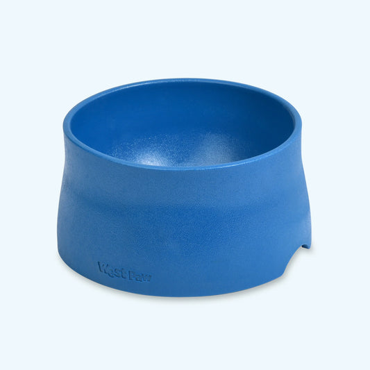 No Slip Dog Bowl