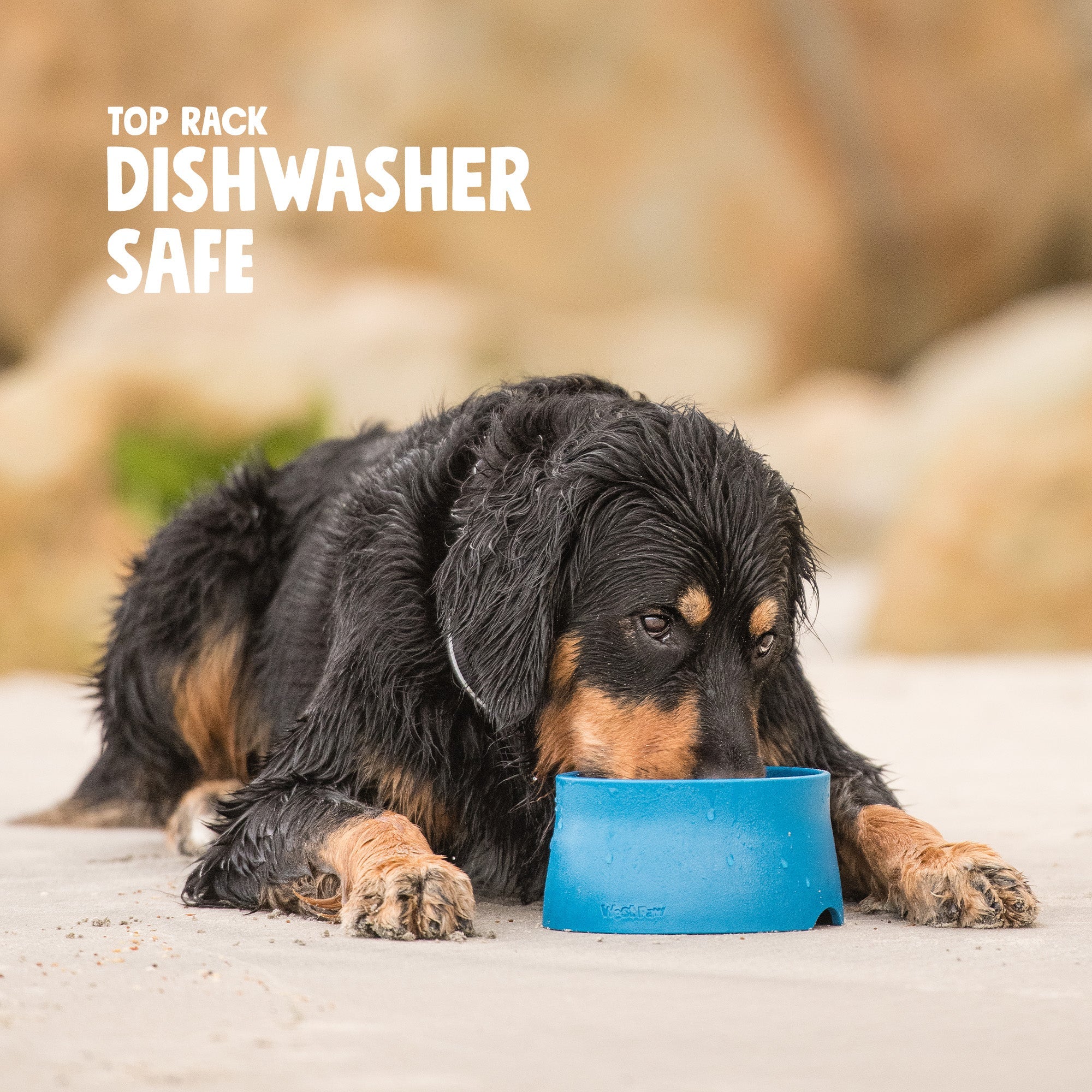 No Slip Dog Bowl