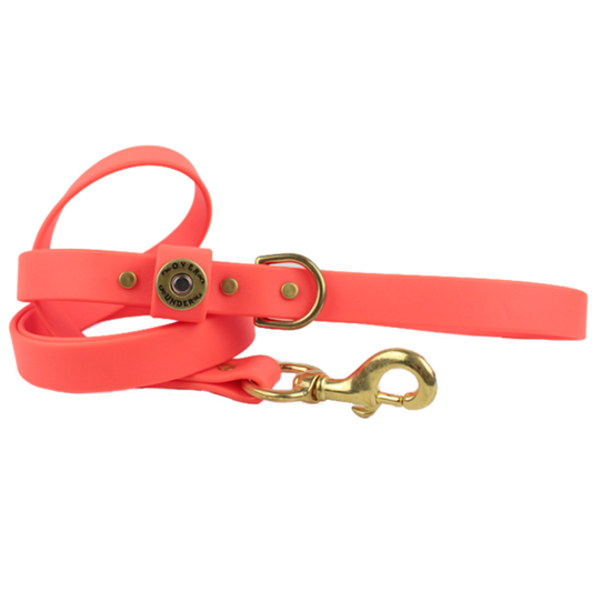 1" x 5ft Mudproof Dog Leash - Orange