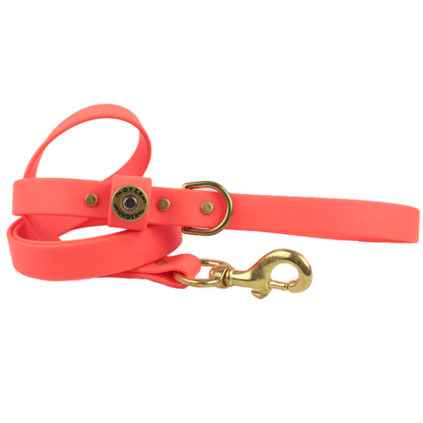 1" x 5ft Mudproof Dog Leash - Orange