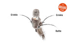 Blissful Bird - Grey Thumbnail