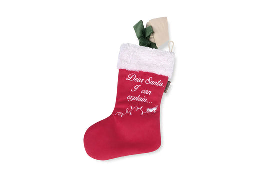 Holiday Stocking