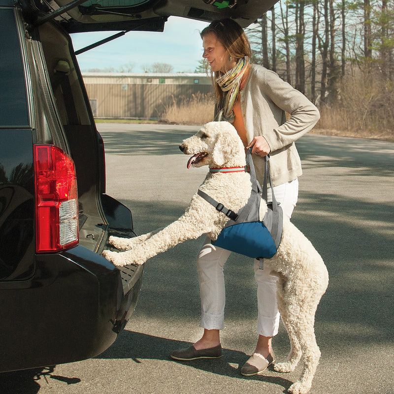 Up and About Dog Lifter