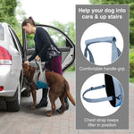 Up and About Dog Lifter Thumbnail