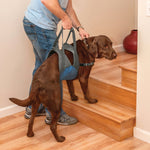 Up and About Dog Lifter Thumbnail