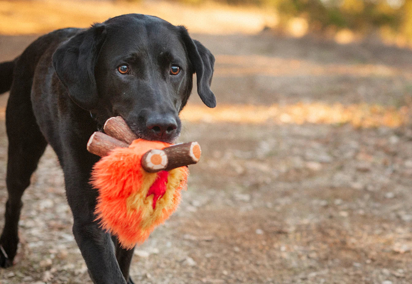 Stuffed Dog Toy - Plush Campfire