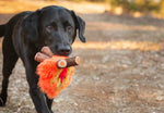 Stuffed Dog Toy - Plush Campfire Thumbnail