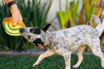 Stuffed Dog Toy - Plush Avocado Toast Thumbnail