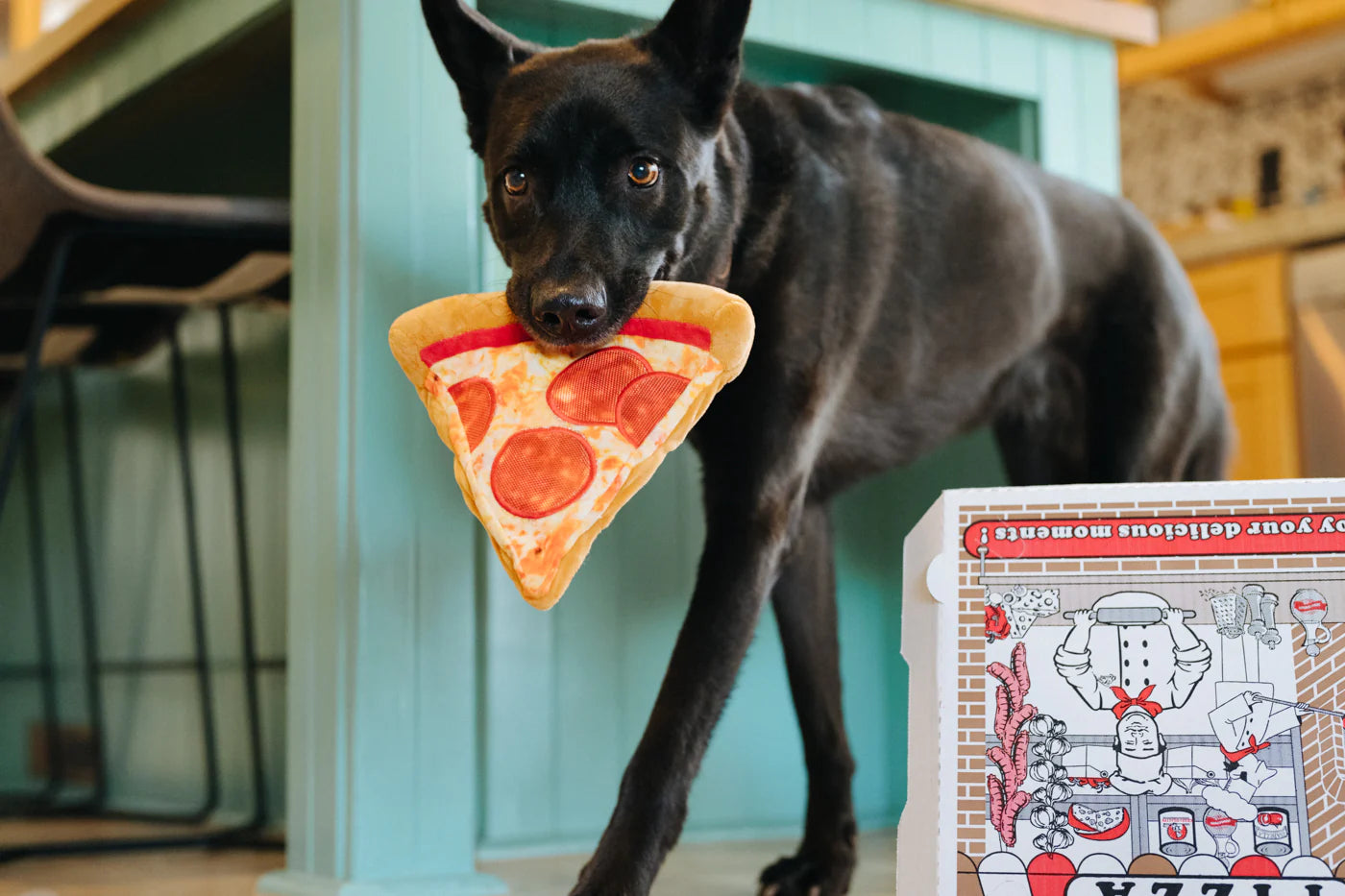 Stuffed Dog Toy - Crinkle Pizza