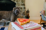 Stuffed Dog Toy - Crinkle Pizza Thumbnail