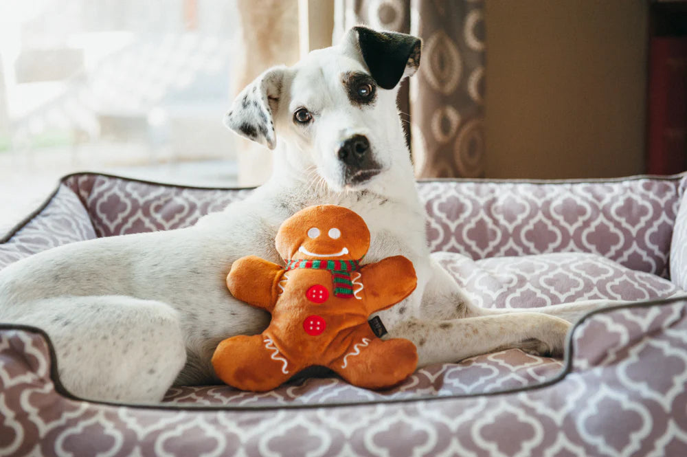 Stuffed Dog Toy - Gingerbread