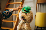 Leprechaun Hat / Toy Thumbnail