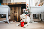 Stuffed Dog Toy - Hot Chocolate Thumbnail