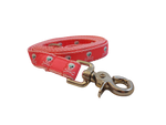 3/4” x 5ft Ribbon Dog Leash – Pirates, Pink Thumbnail