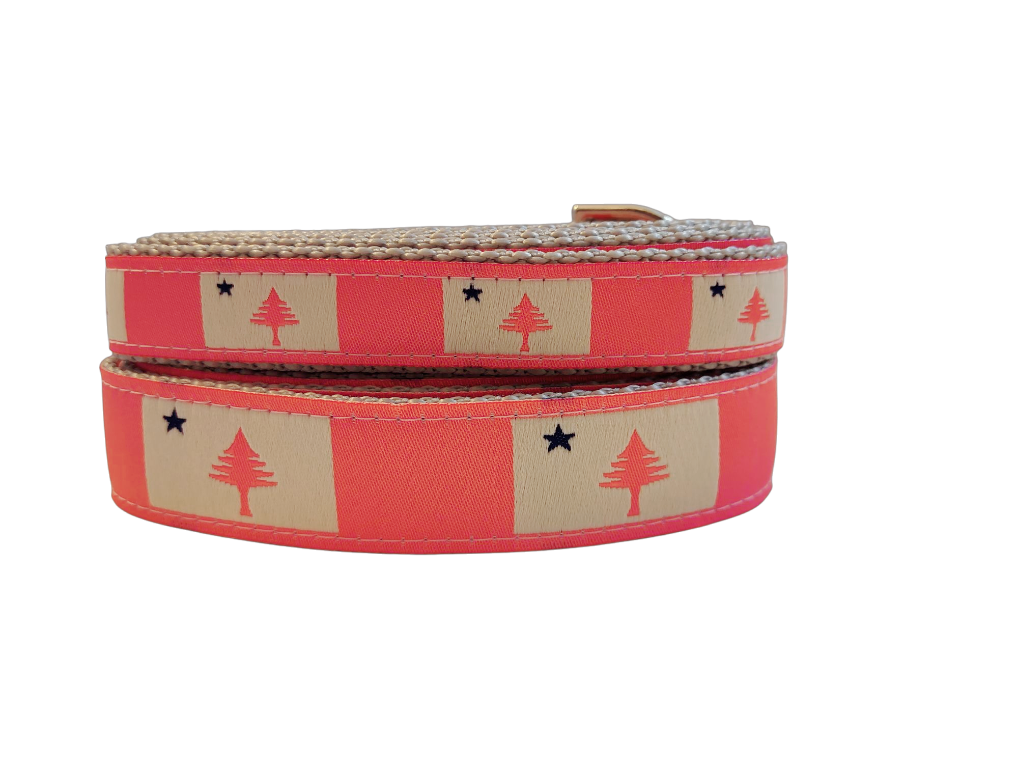 1” x 5ft  Ribbon Dog Leash – 1820/1901 Maine Flag, Pink