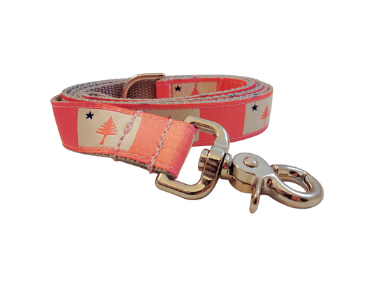 1” x 5ft Ribbon Dog Leash – 1820 Maine Flag – Pink