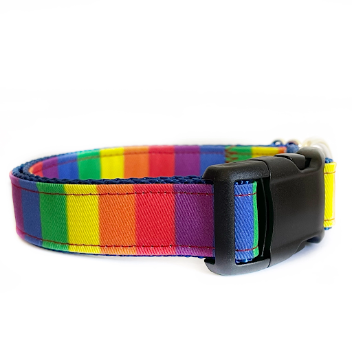 Ribbon Dog Collar – The Pride