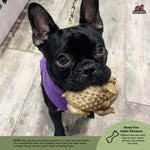 Chew-a-Bull Medium Toad - ea. Thumbnail