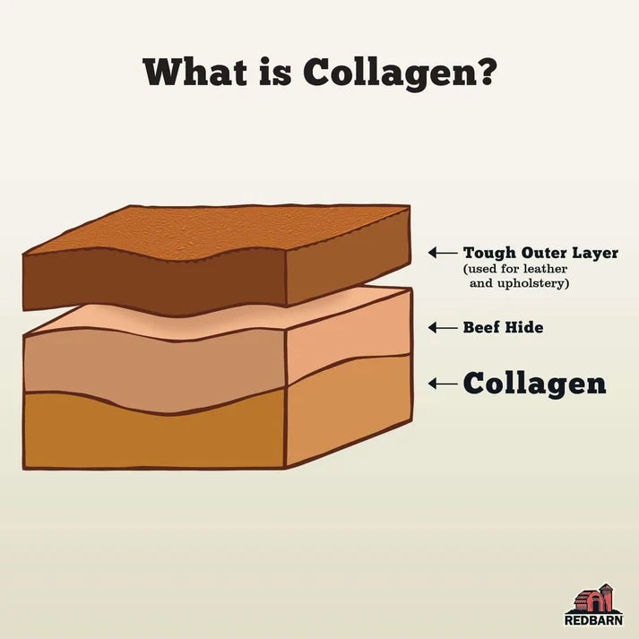 Collagen Chew Braid - 6"