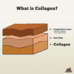 Collagen Chew Braid - 6