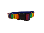 Ribbon Dog Collar – The Pride Thumbnail
