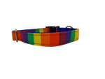 Ribbon Dog Collar – The Pride Thumbnail