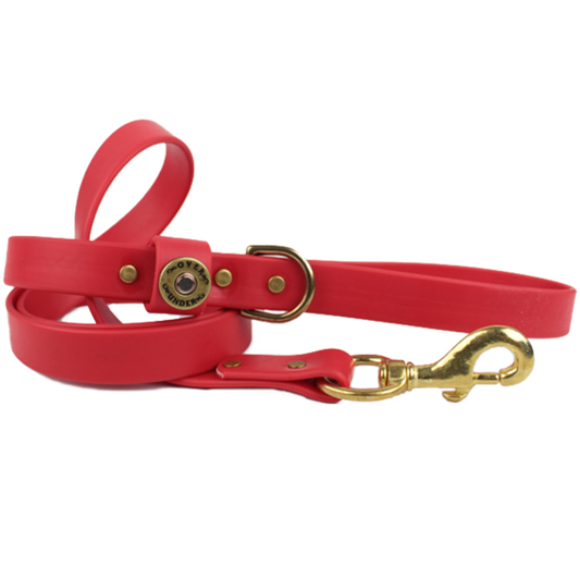 1" x 5ft Mudproof Dog Leash - Red
