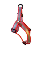 Biothane Mudproof / Waterproof Dog Harnesses - SALE Thumbnail