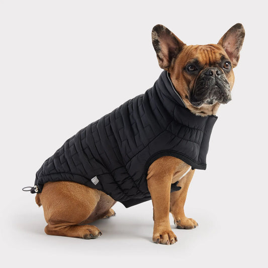 CLEARANCE - Reversible Dog Coat - Black - 2XS, XL