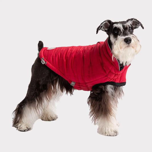 CLEARANCE - Reversible Dog Coat - Red - 2XS, XS