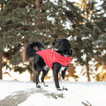 Reversible Dog Coat - Red Thumbnail