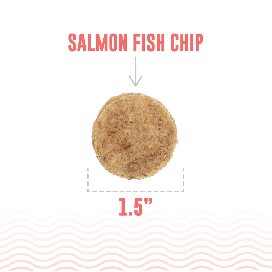 Salmon Chips - 2.5oz