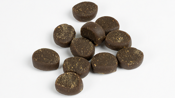 Terrific Trainers - 10oz