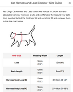 Cat Harness w/ Lead Thumbnail