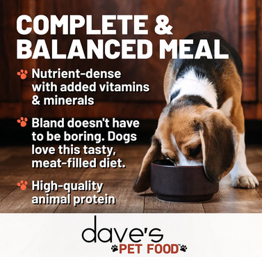 Dave's Bland Diet - Lamb and Rice - 13.2oz