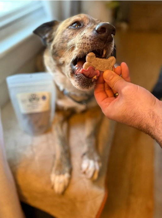 State o' Maine Shaped Blueberry & Bacon Biscuits - 4oz