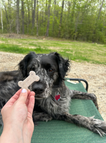 State o' Maine Shaped Blueberry & Bacon Biscuits - 4oz Thumbnail