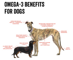Polka Dog Crunchy Single-Ingredient Dog Treat - Cod Skins - 4.7oz Tube Thumbnail