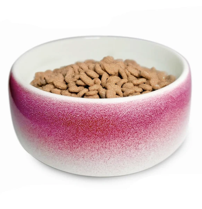 Unique Non-Slip Ceramic Dog Bowls - Porcelain - Red/White - 2 Sizes