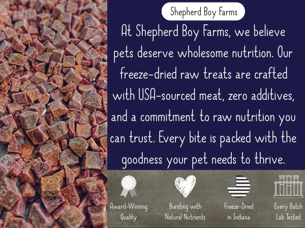 Freeze Dried Treats - Lobster & Coconut