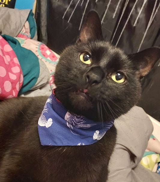 Reversible Dog Bandana - White Lobsters on Blue