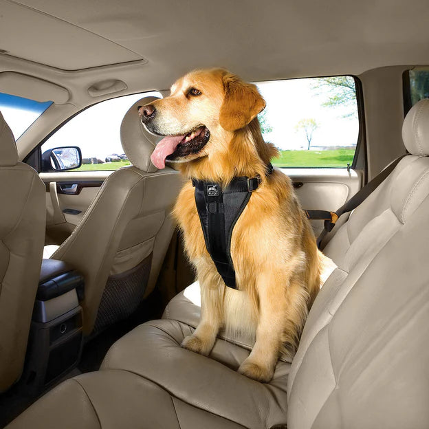 Tru Fit Dog Harness w/ Car Restraint