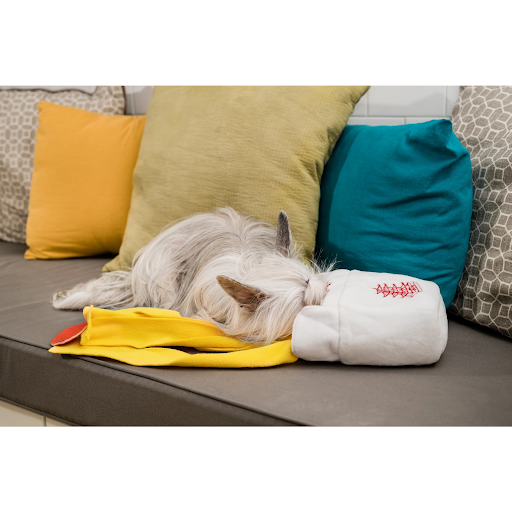 Dog Treat Toy - Snuffle Take Out