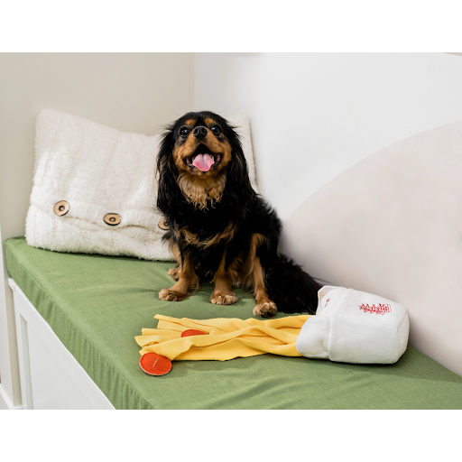 Dog Treat Toy - Snuffle Take Out