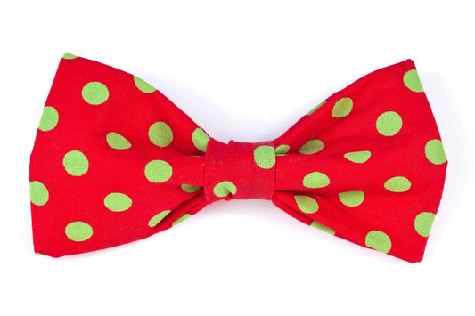 Dog Bow Tie - Green Polka Dots on Red