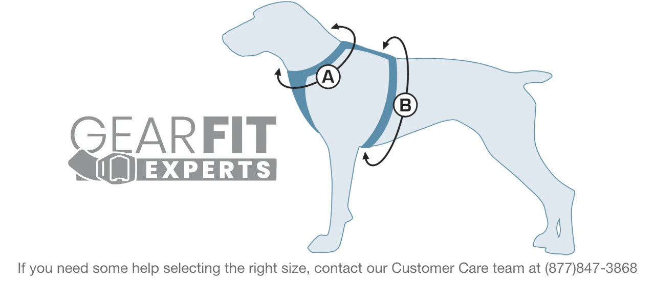 Tru Fit Dog Harness w/ Car Restraint